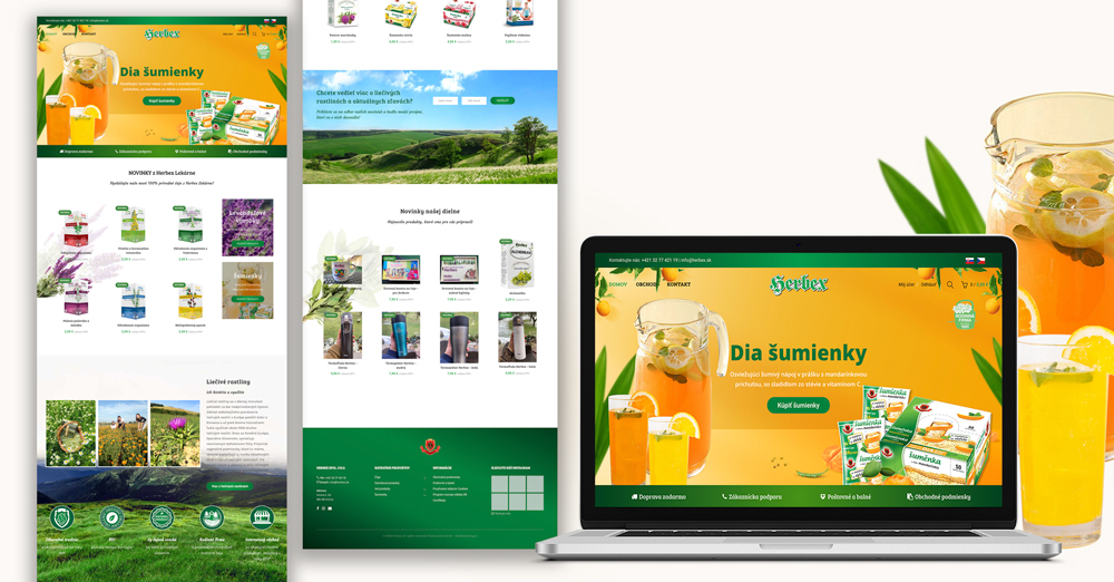 Website Design Vancouver 2 Herbex Web Design Mockup