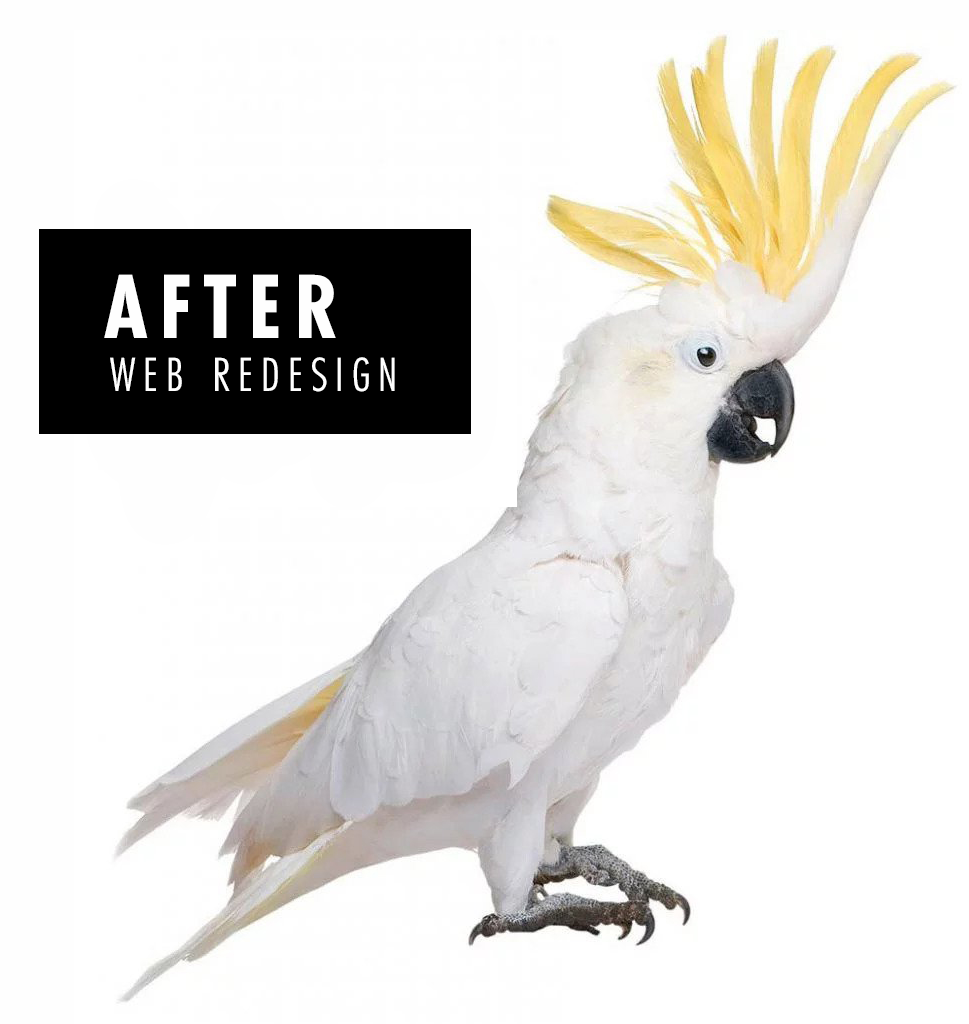 8 Reasons Why You Should Redesign Your Website In 2022 2 After