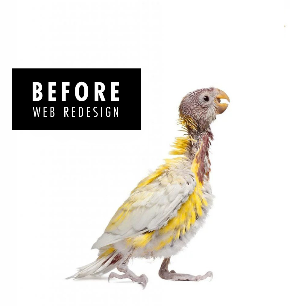 8 Reasons Why You Should Redesign Your Website In 2022 1 Before